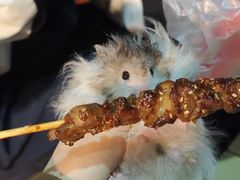 -顺德职业技术大学