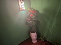 -富侨养生(九亭店)