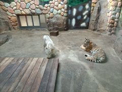 -上海野生动物园