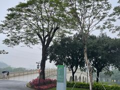 -顺峰山公园