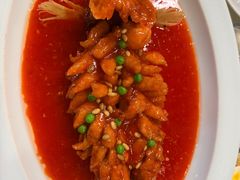 -丁老爷子苏香圆