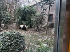 -成都动物园