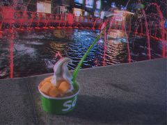 -Salud撒露欧洲冻酸奶(蓝色港湾店)