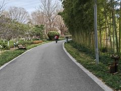 -昆山城市生态森林公园