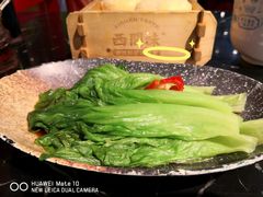 白灼生菜-西关味(大卫城店)