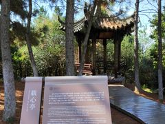 -南京市无想山景区