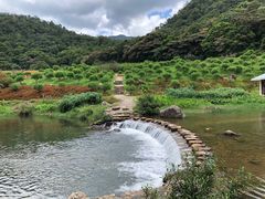 -广州市石门国家森林公园