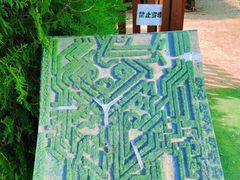 -亲兄弟真人CS团建拓展基地