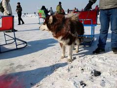 -人民防洪胜利纪念塔