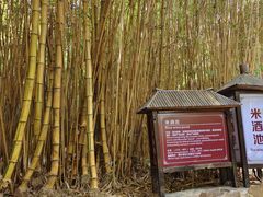 -森波拉火山温泉
