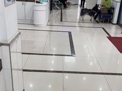 -派美特宠物医院·核磁CT·骨科肿瘤·疑难转诊(沈农禾丰店)