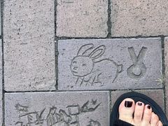 -北海道厅旧本厅舍(旧本庁舎)