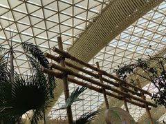 -杭州开元森泊度假乐园