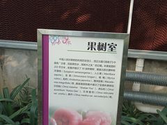 -北京植物园-展览温室