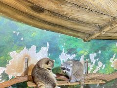 -绿色星球动物主题公园
