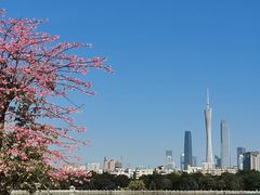 -海珠湖公园