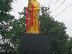 -张醪糟