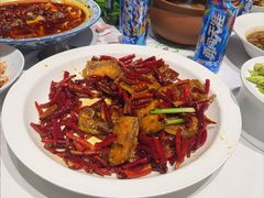 -院8里·小聚园老川菜(九眼桥店)