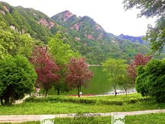 -秦岭终南山世界地质公园翠华山景区