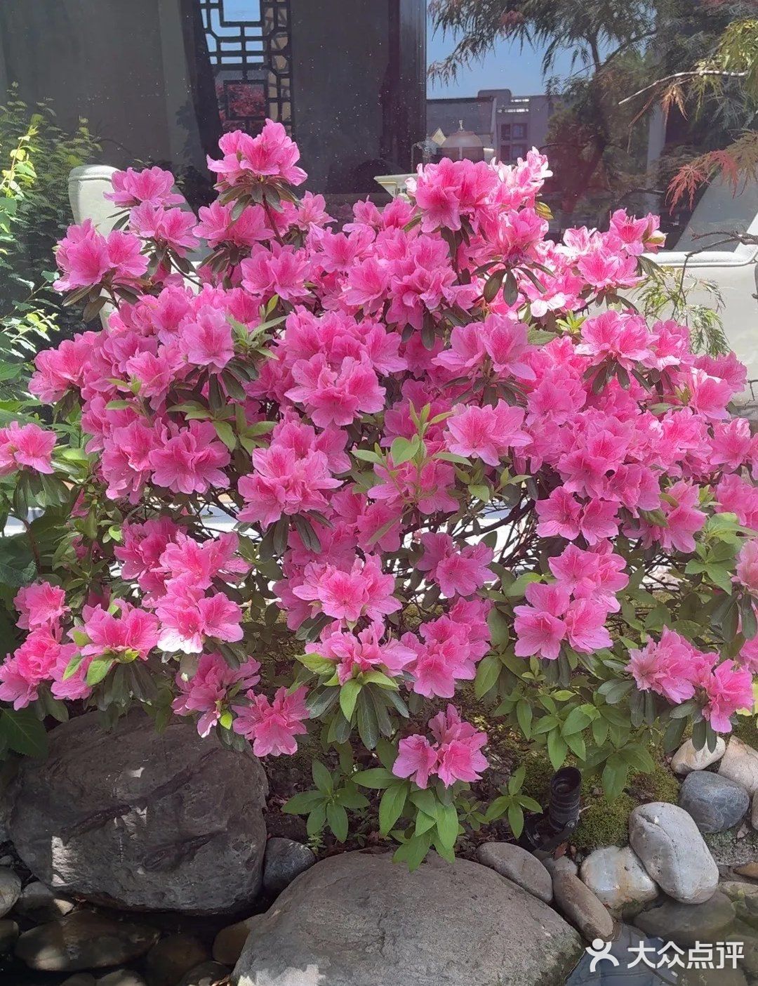 品味私房菜里的独特风味