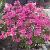 品味私房菜里的独特风味