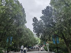 -千佛山风景名胜区