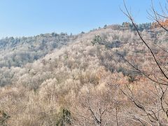 -敬亭山风景名胜区