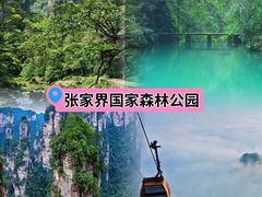 -张家界天门山国家森林公园