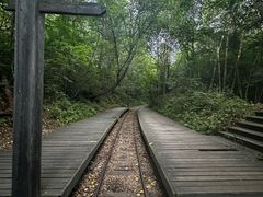 -五营红松林海景区