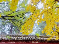 -香山公园