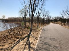 -东郊湿地公园