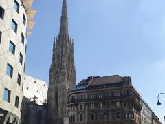 -斯蒂芬主教座堂(Stephansdom)