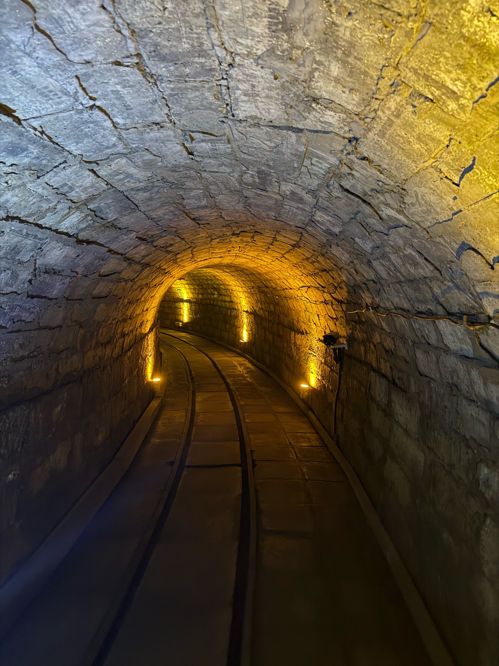 探索隧道里的奇妙世界