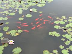 -白马涧龙池景区