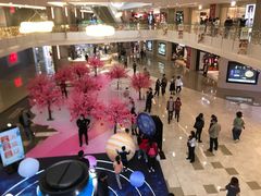 -皇庭广场(福华三路店)