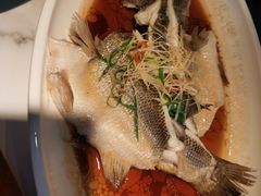 -花园茶楼(兴城西路店)