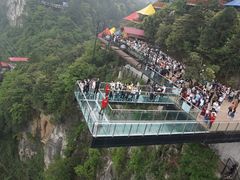 -梦幻奥陶纪景区