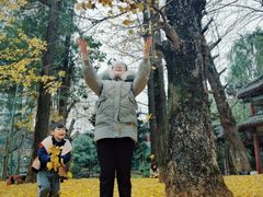 -华雅花园大酒店