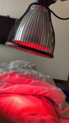 -海豚湾高端月子会所(黄浦店)