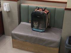 -艾贝尔宠物诊疗