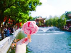 -宝墨园景区