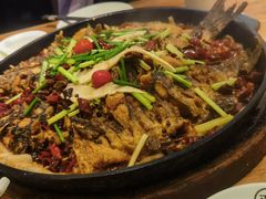 老板恋上鱼-老板恋上鱼(环山路店)