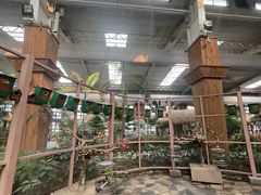 -南宫五洲植物乐园