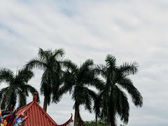 -东兴口岸-中越友谊大桥