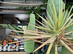 -野菌皇海景野生菌火锅(滨海大道店)