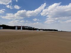 -山东八大碗山东老字号