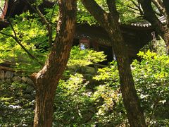 -宁波市保国寺古建筑博物馆