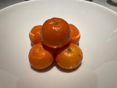 桔子-粤界(望京金辉店)