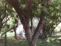 -宝岩生态观光园