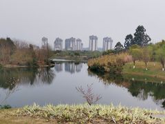 -眉山湿地公园(东坡区)